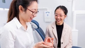 A dentist showing a teeth model to a patient